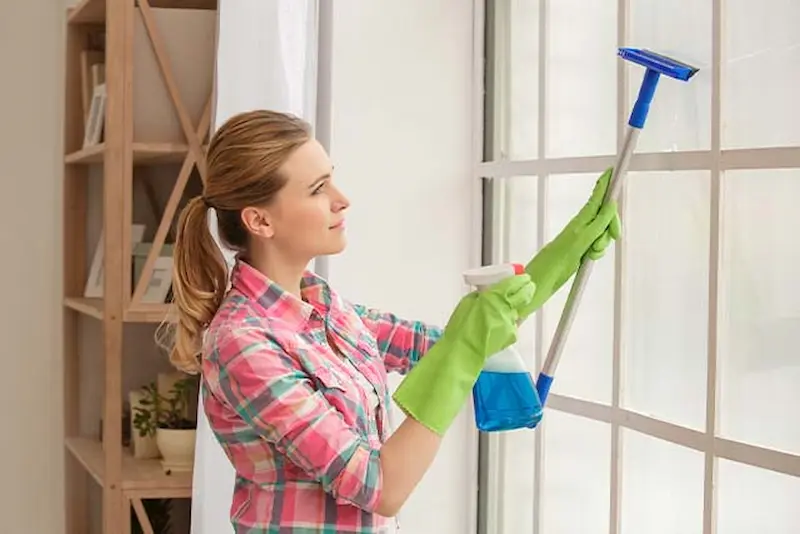 Best Homemade Solutions for Streak-Free Windows