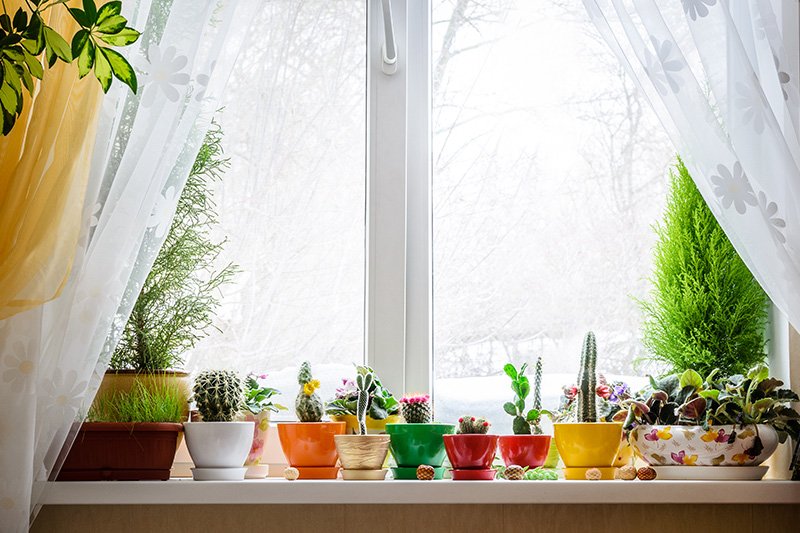 Easy Window Decoration Ideas for Beginners